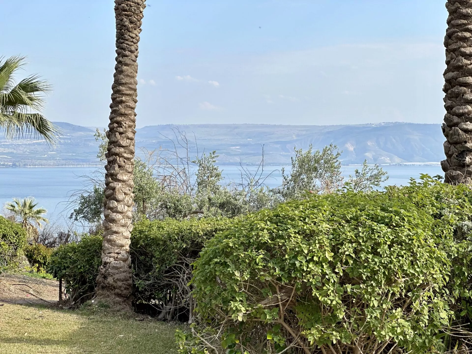 Blick auf den See Genezareth von einem üppigen Garten mit Palmen in Kapernaum, mit Hügeln im dunstigen Hintergrund.