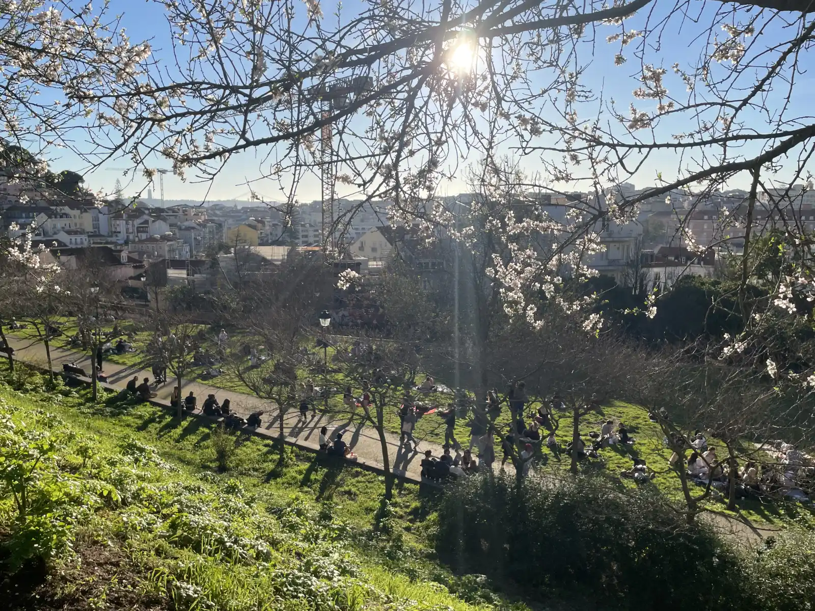 lisbon-park-spring-v5n7p.webp