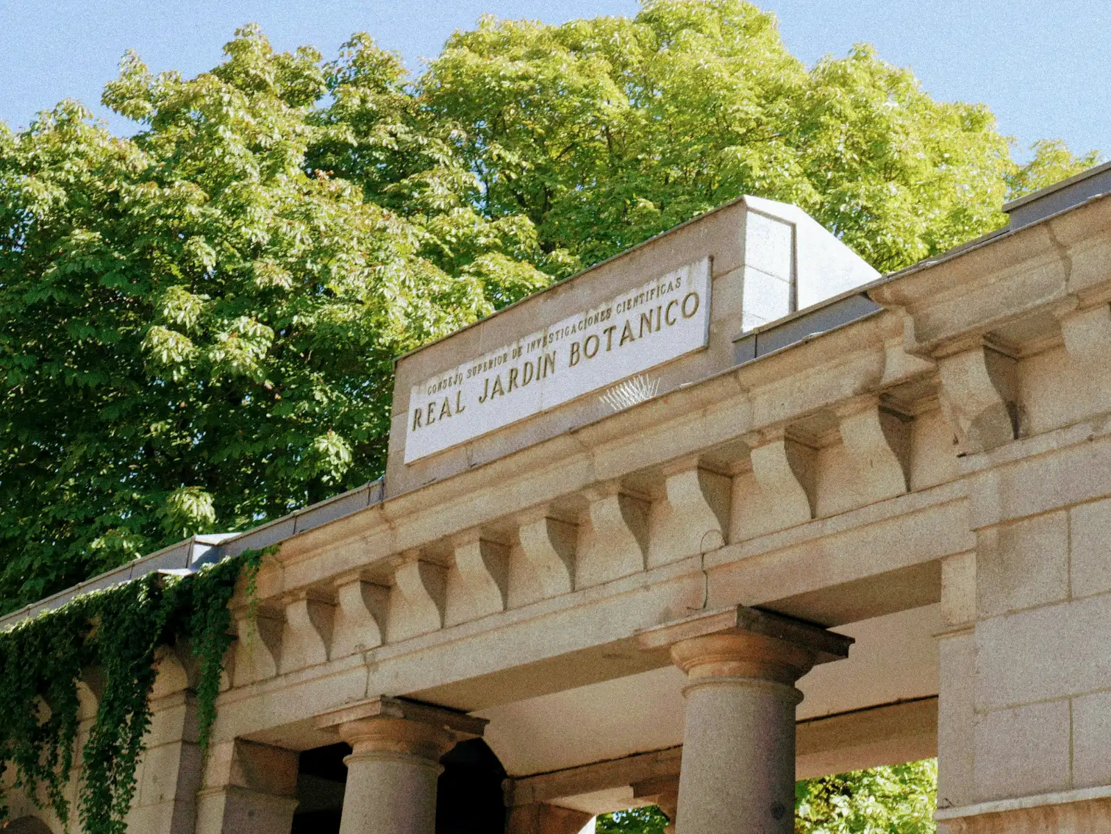 The stone entrance to the Real Jardín Botánico in Madrid, with lush green trees above on a sunny day.