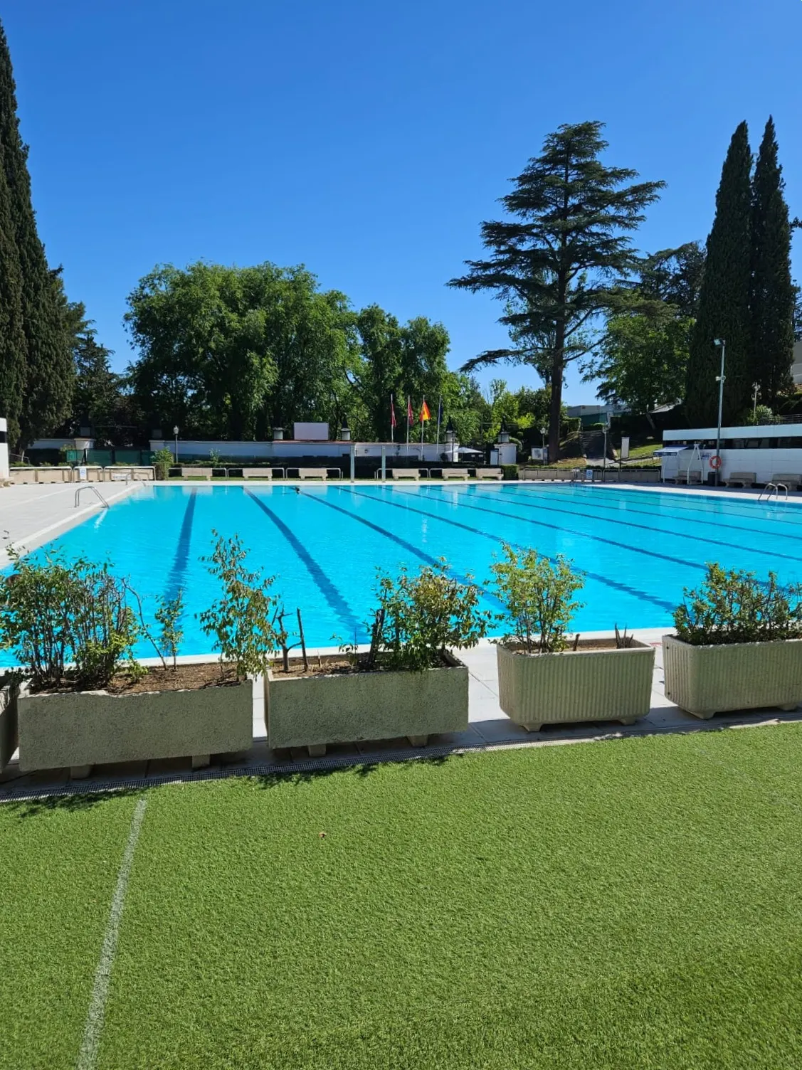 Large outdoor swimming pool with clear blue water and lane lines on a sunny day, with trees and a clear sky in the backgro...