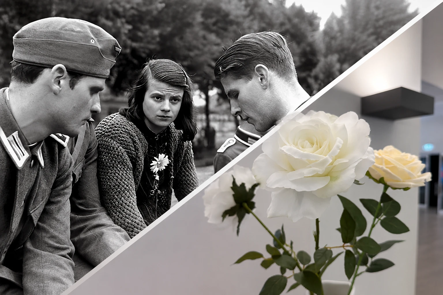 A split image: a B&W photo of Hans and Sophie Scholl and Christoph Probst, and a color photo of white roses.
