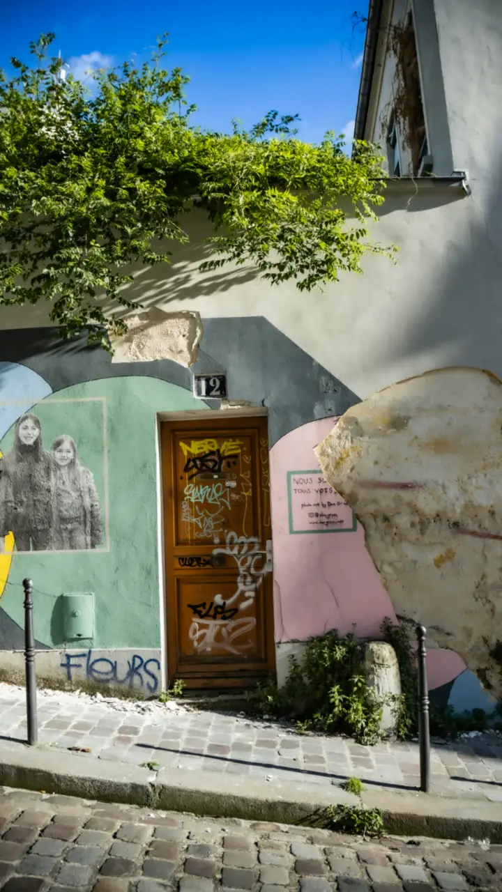 A vibrant doorway featuring street art and climbing plants on a quiet cobblestone lane in Paris. Wooden door with graffiti surrounded by a colorful mural and greenery on a cobblestone street in Paris.