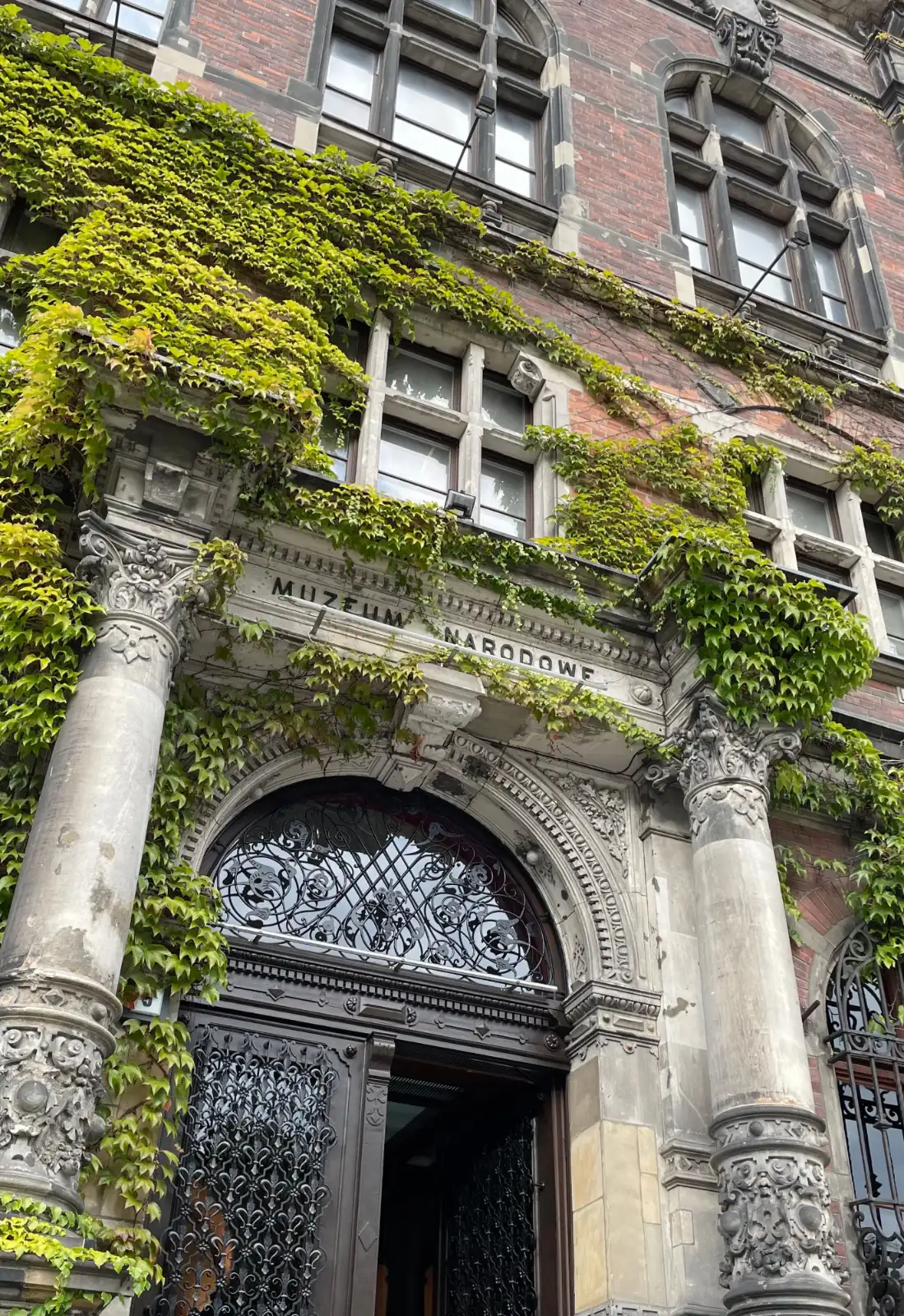 The ivy-covered stone entrance to the National Museum in Wroclaw, with ornate columns and a large arched doorway.