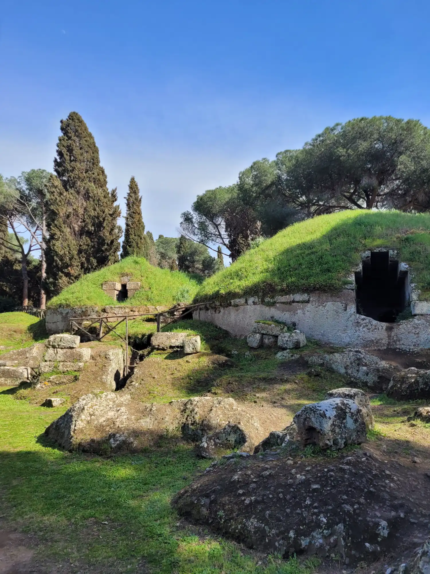 Ancient Etruscan tombs covered in green grass, surrounded by pine and cypress trees under a blue sky.