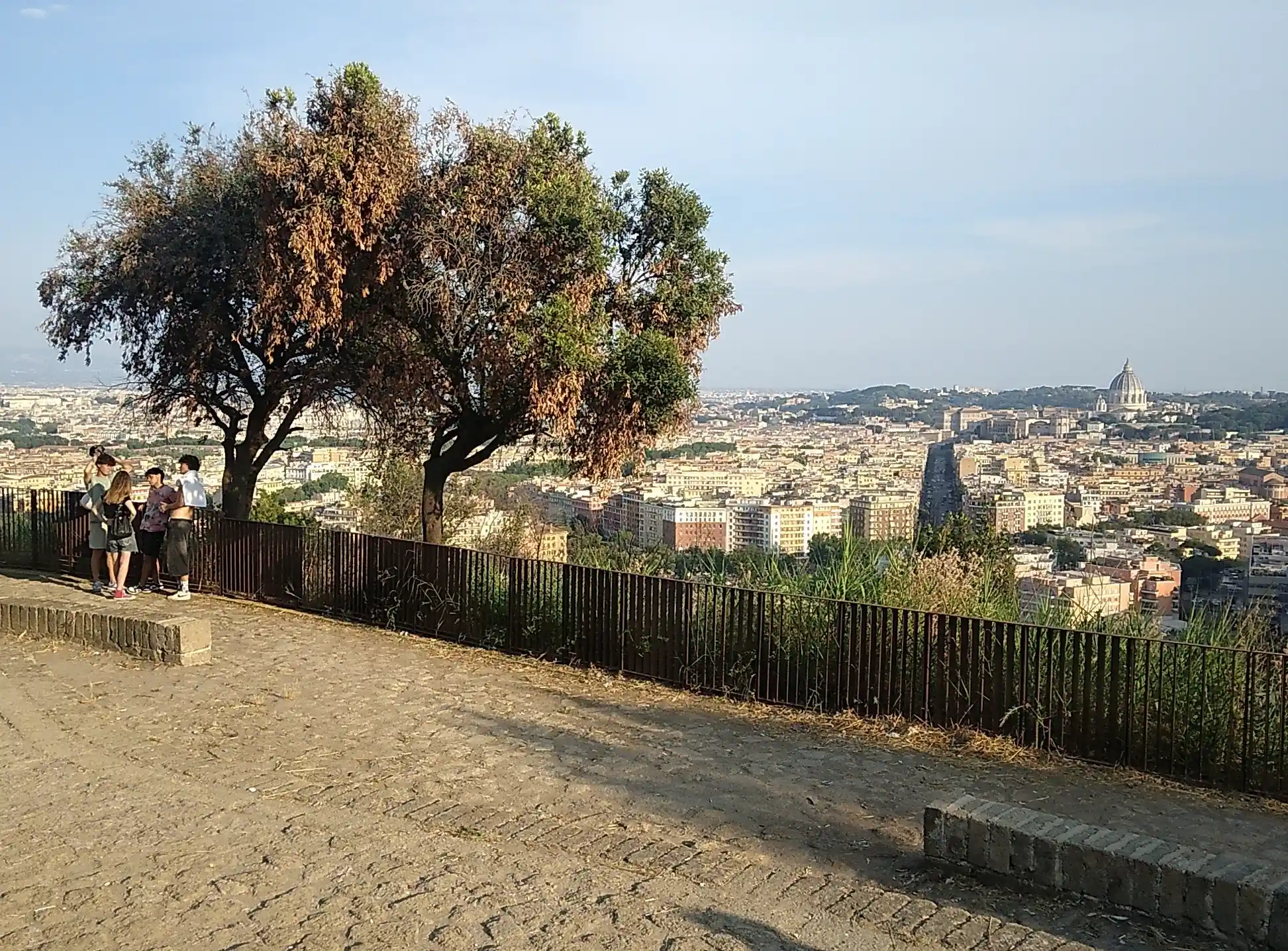 Monte Mario viewpoint over the city of Rome with trees on the left and St. Peter's Basilica in the distance.