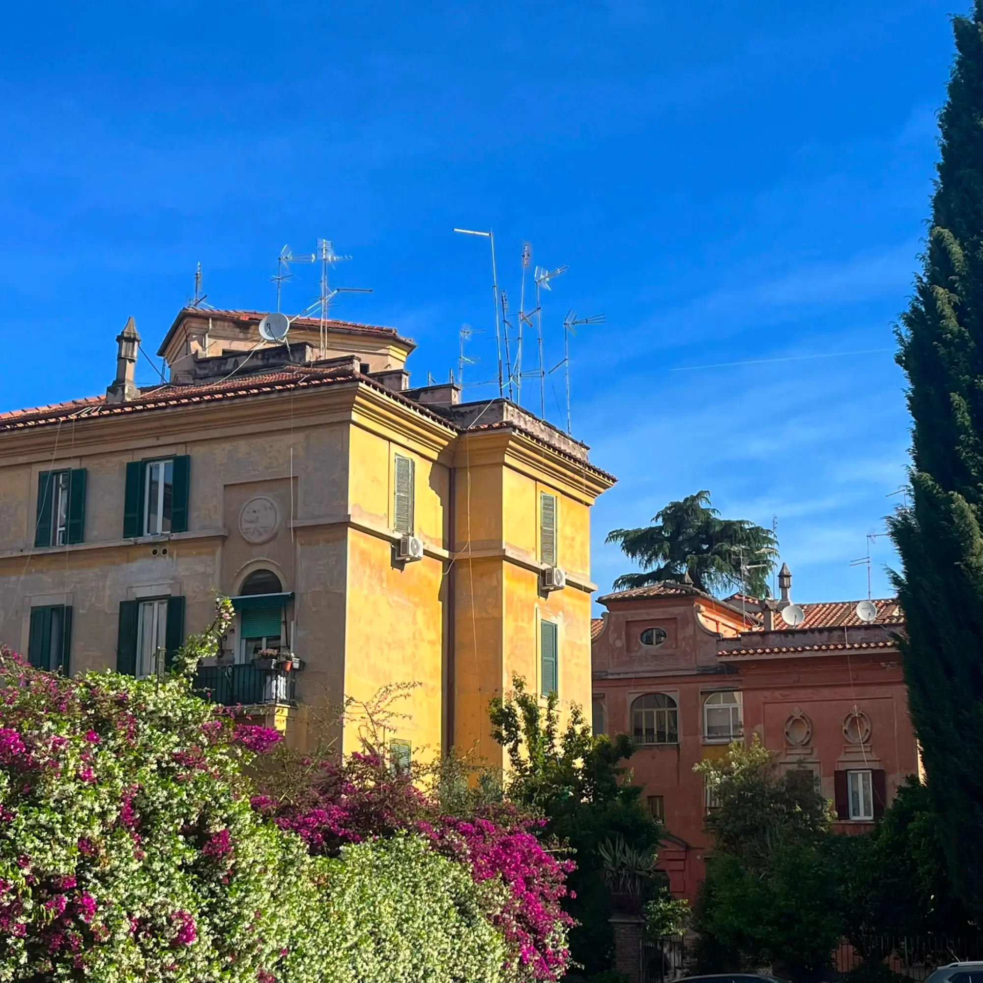 A yellow residential building with green shutters and rooftop antennas, seen over a flowering bush against a clear blue sky.