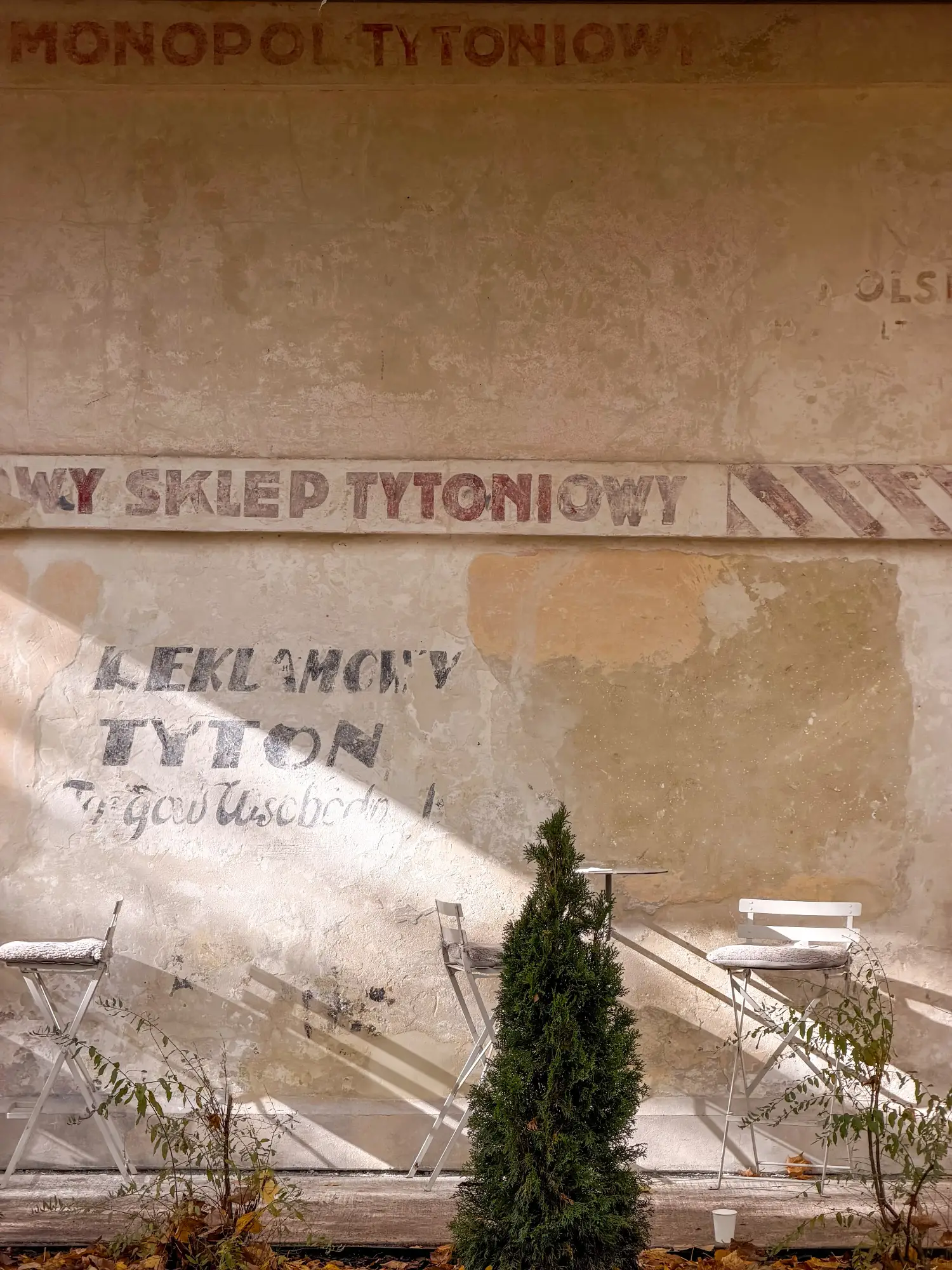 Old Polish tobacco signs painted on a weathered wall behind outdoor cafe chairs and a small evergreen shrub in Lviv.