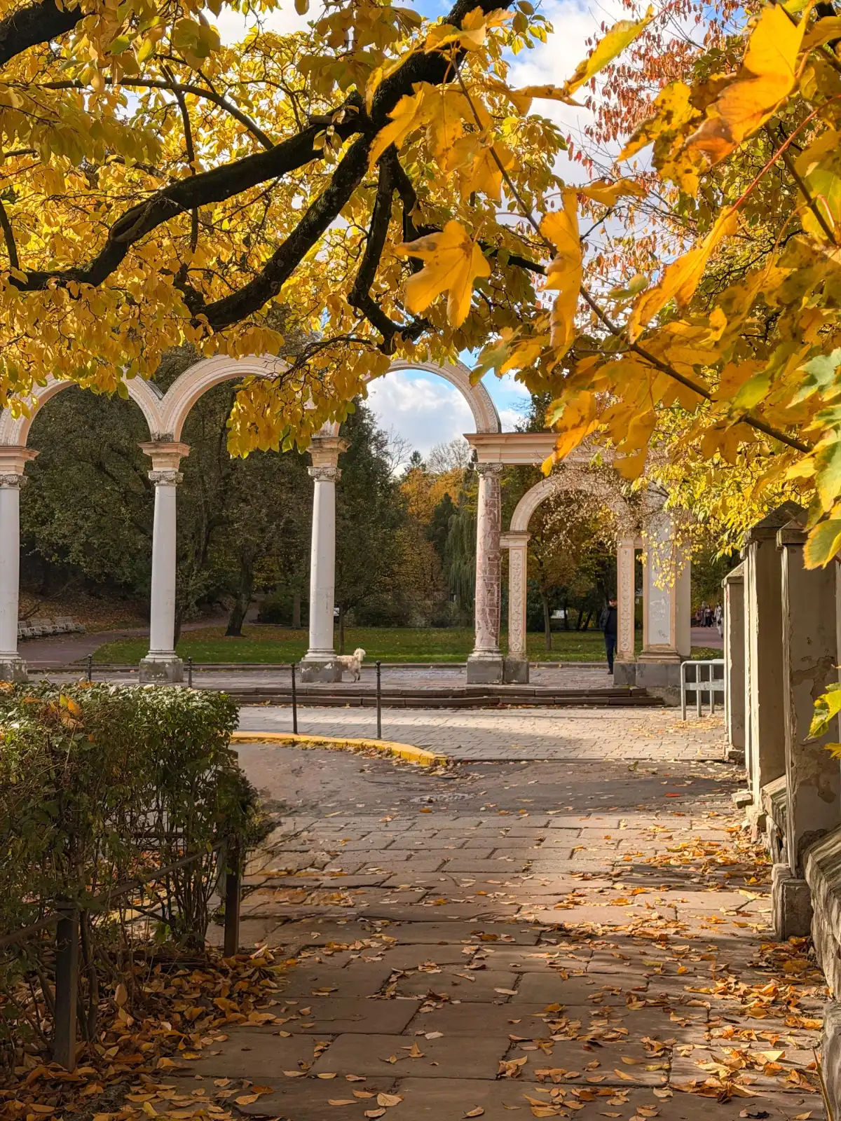 Stone walkway lined with autumn leaves leading toward a classical arched colonnade in a park.