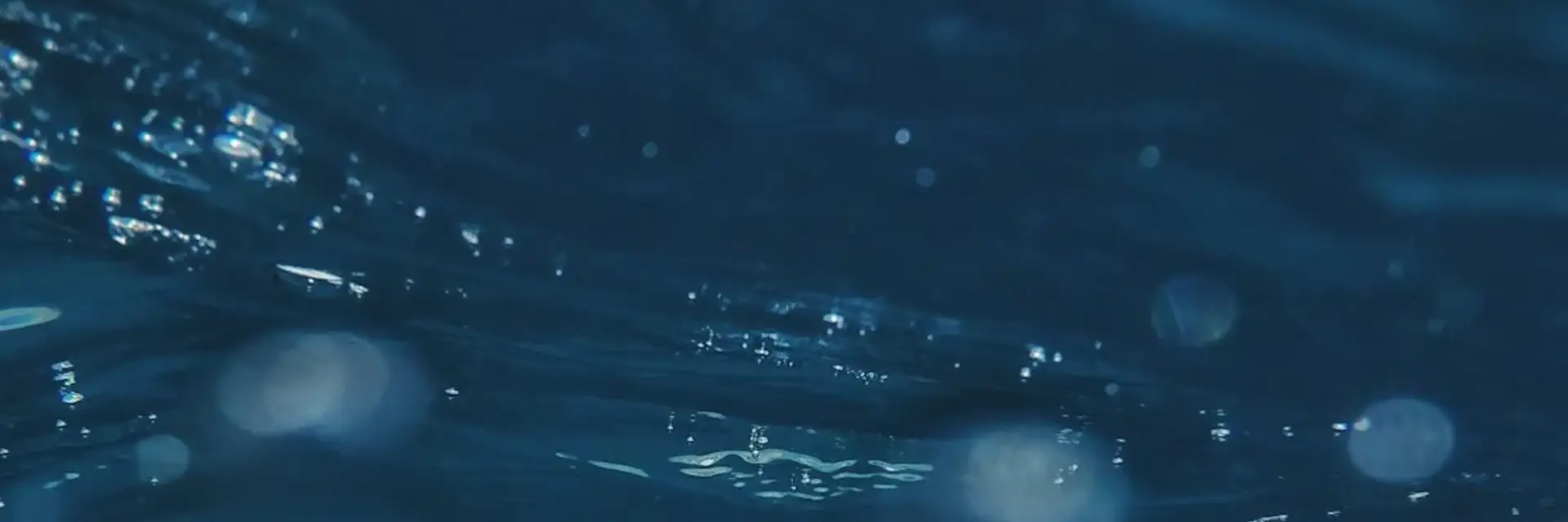 Webocean