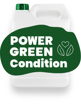 PG Condition