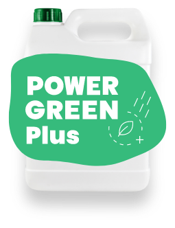 PG Plus