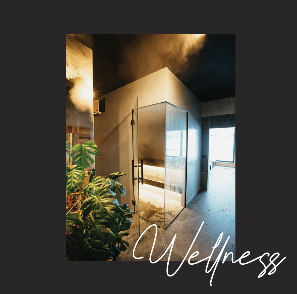 grid_wellnwss_n1