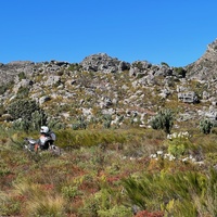 Back Road Exploration between Paarl and Tulbagh