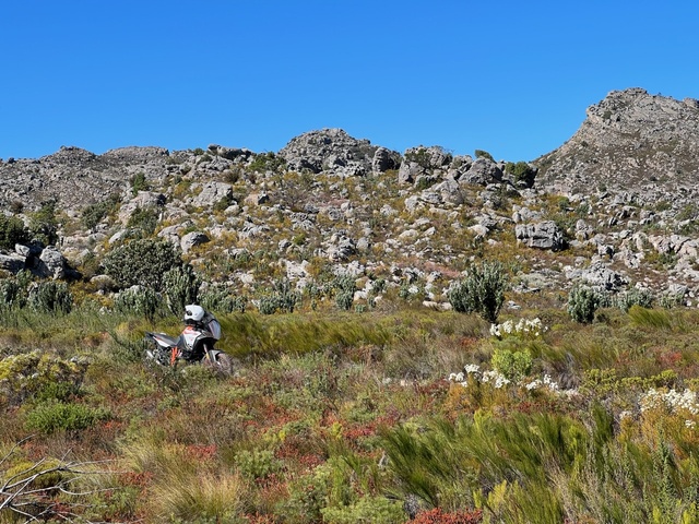 Back Road Exploration between Paarl and Tulbagh