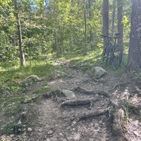 First Mountain Bike Ride in Uppsala