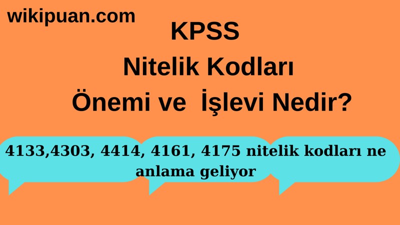 4133, 4161, 4175, 4303 ve 4414 nitelik kodları ne anlama geliyor