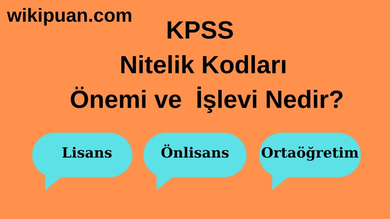 Nitelik Kodu Nedir?