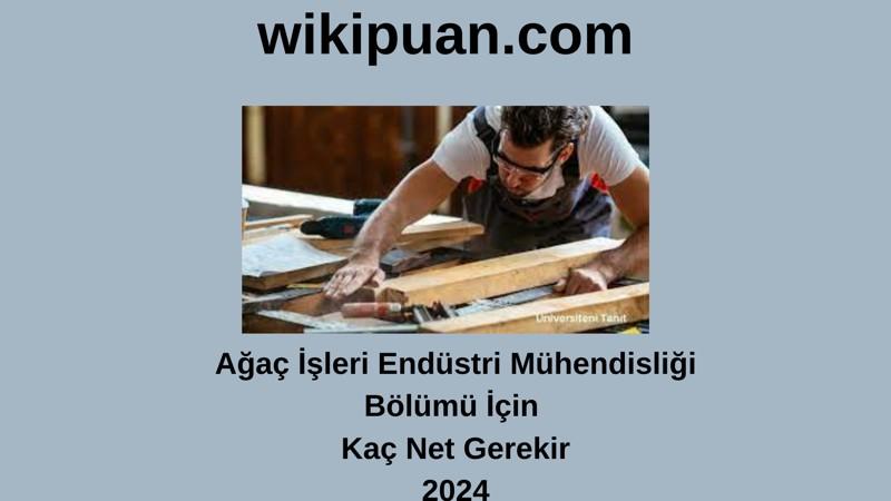 2024-YKS | Ağaç İşleri Endüstri Mühendisliği Bölümü İçin Kaç Net Gerekir