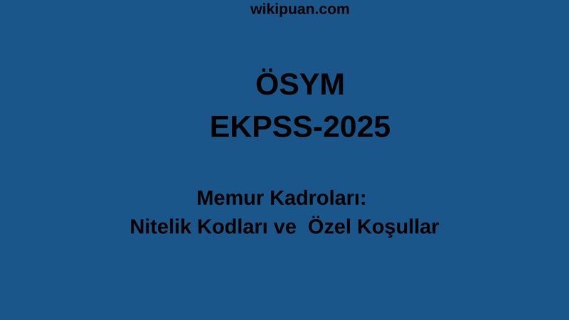 2025/EKPSS Memur Kadroları Nitelik Kodları ve Anlamları