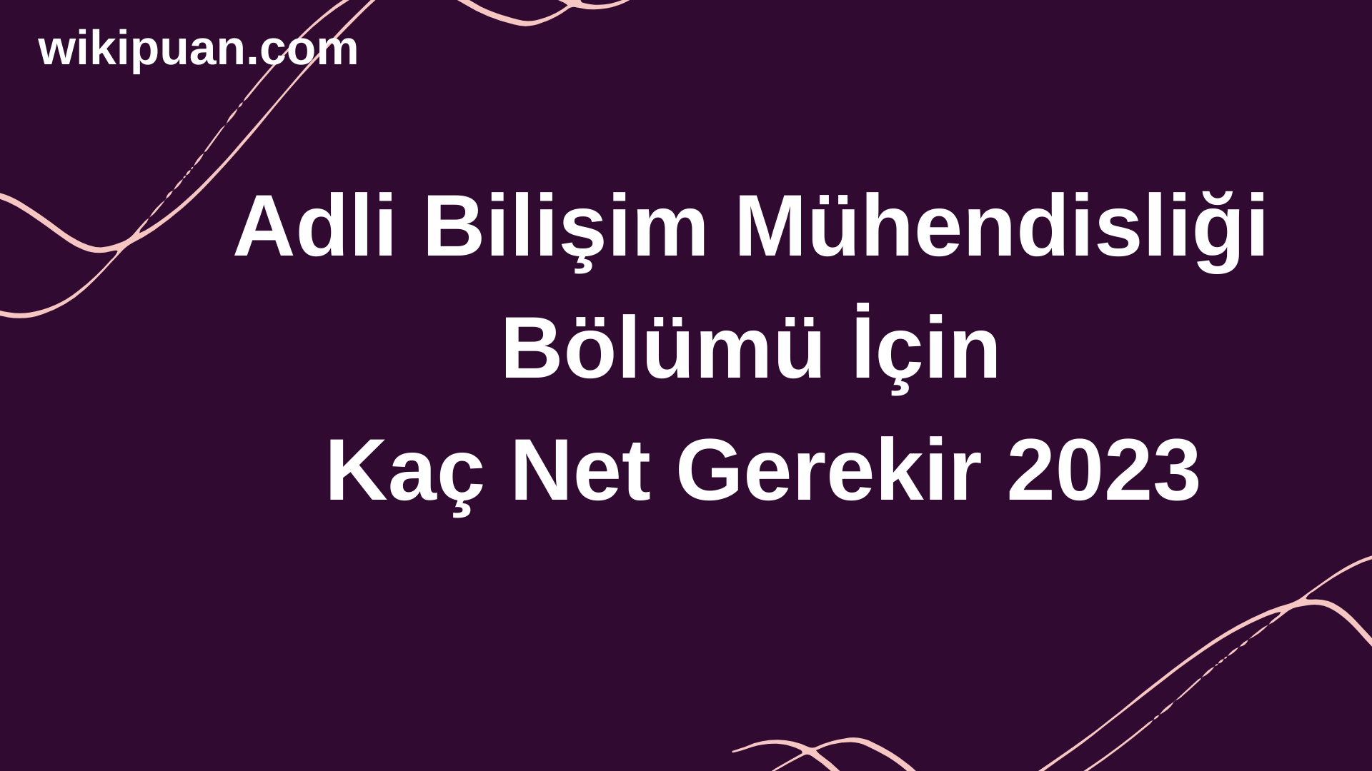 Adli Bilişim Mühendisliği Bölümü İçin Kaç Net Gerekir 2023