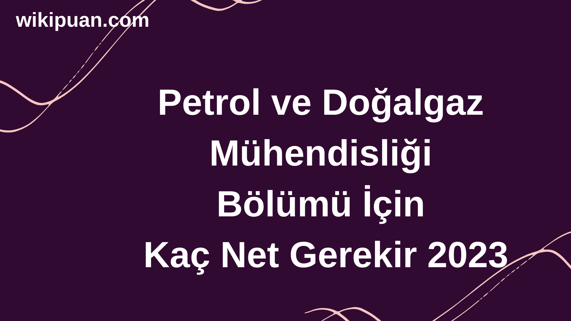 Petrol ve Doğalgaz Mühendisliği Bölümü İçin Kaç Net Gerekir 2023
