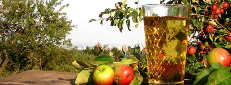 Cider, as the main argument in the historical debate of beer and wine
