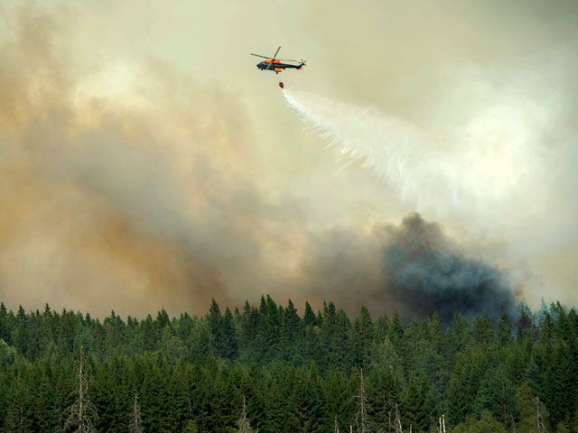 Swedish rescuers missed the biggest forest fire due to an error navigator