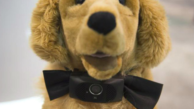"Smart" Collar for Dogs