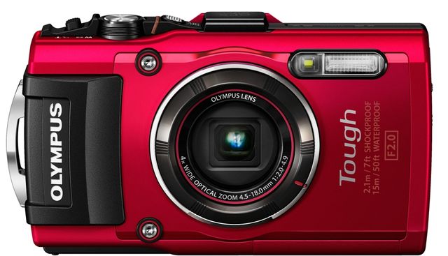 Olympus Tough TG-4 transforms dark scenes in bright and surprising detail of the image