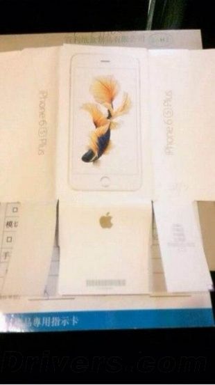 iPhone 6s Plus: photos and information about the packaging capacity of the battery
