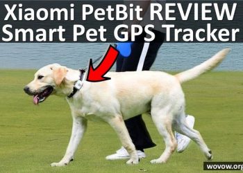 Xiaomi PetBit REVIEW: Smart Pet GPS Tracker for only $30!