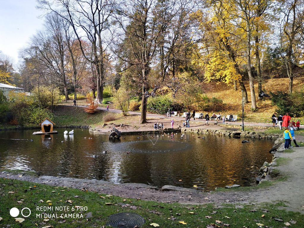 Xiaomi Redmi Note 6 Pro REVIEW camera sample photos