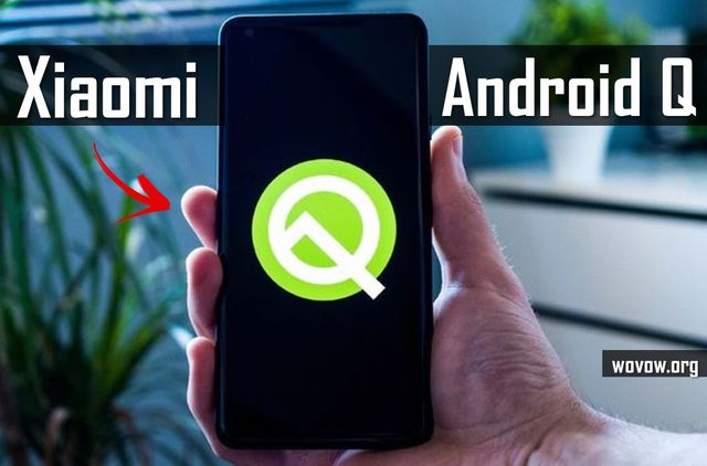 When Will Xiaomi Smartphones Update To Android 10 Q?
