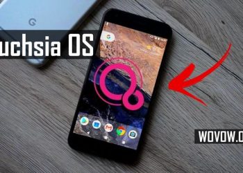 Fuchsia OS: What Do We Know About New Operating System from Google?
