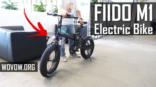 FIIDO M1 First REVIEW: Folding Mountain Electric Bike 2020!