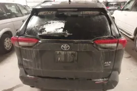 Toyota, RAV4