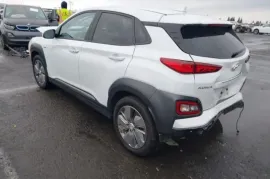 Hyundai, Kona