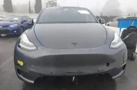 Tesla, Model Y