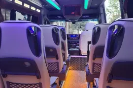 MERSEDES   SPRINTER. 2020 წლიანი 16+1   