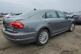 Volkswagen, Passat