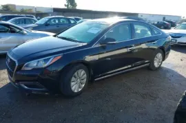 Hyundai, Sonata