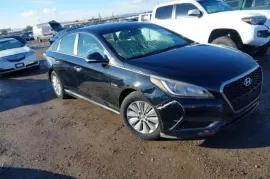 Hyundai, Sonata