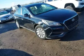 Hyundai, Sonata