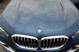 BMW, X Series, X5