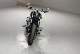 Harley-Davidson, Breakout