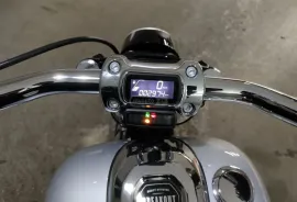 Harley-Davidson, Breakout