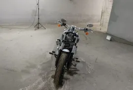 Harley-Davidson, Breakout