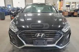 Hyundai, Sonata