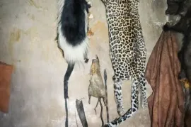 TRADITIONAL HEALER [+27672740459]] ╬ SANGOMA TO BRING BACK L