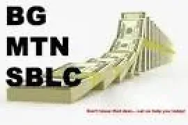 Genuine Provider for BG/SBLC(Bank Guarantee/Standby Letter 